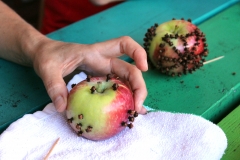 Making Clove Apple
