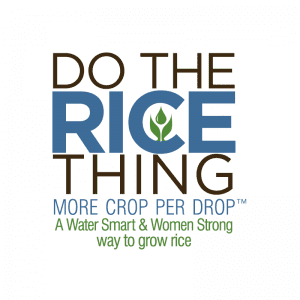 Do The Rice Thing Logo