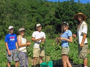 Farm Crew