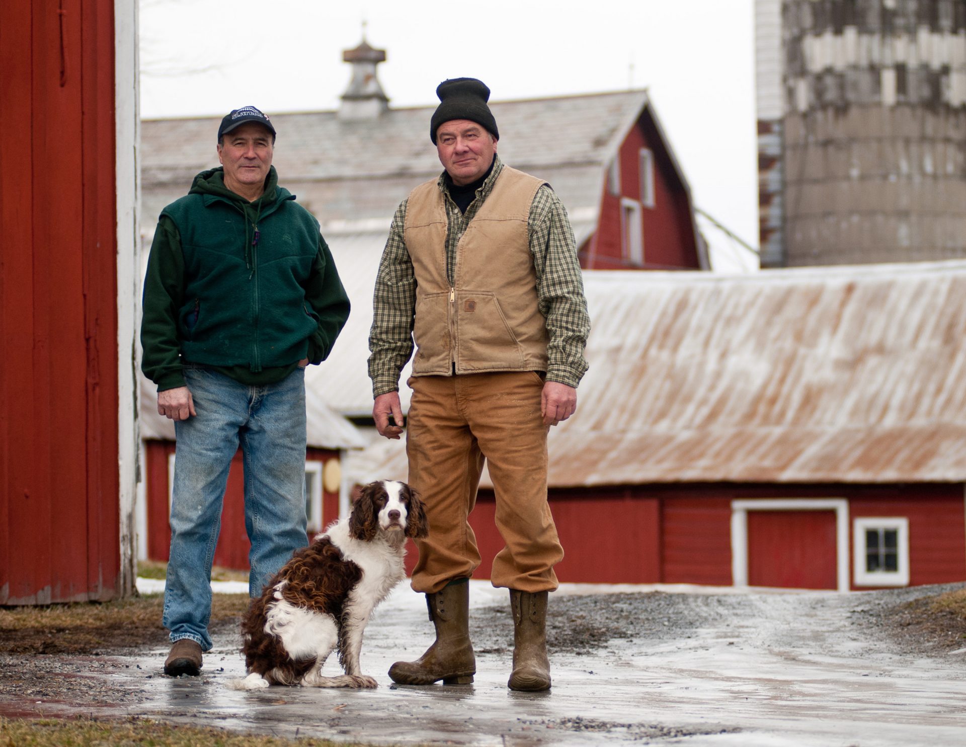 Spotlight on Cabot Creamery Middlebury Food Coop