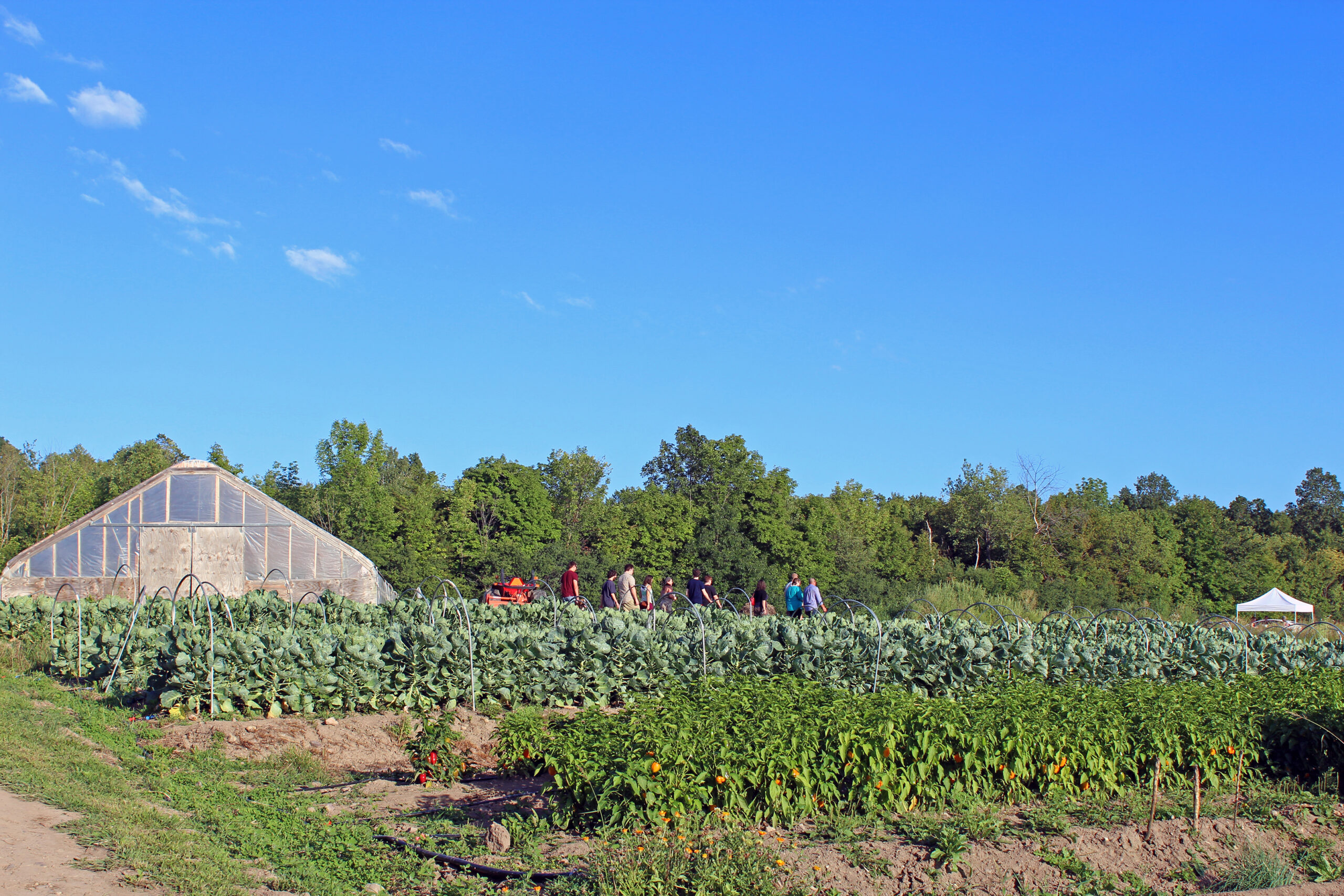 touring-the-farm