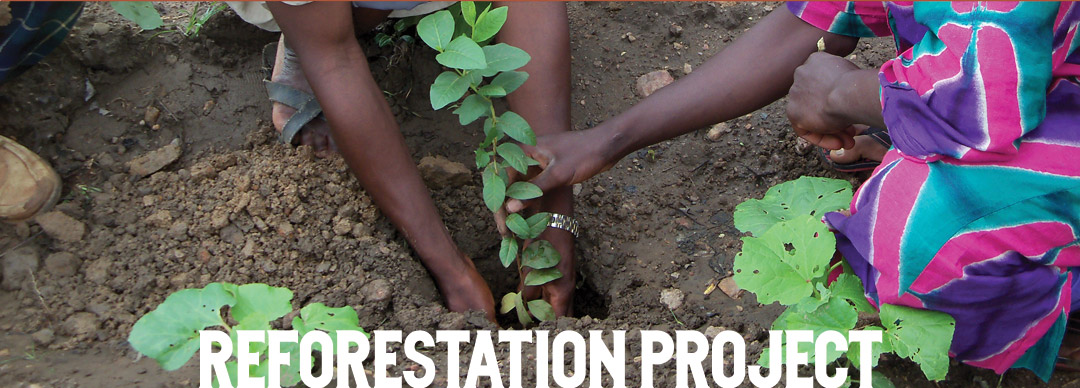 banner-reforestation