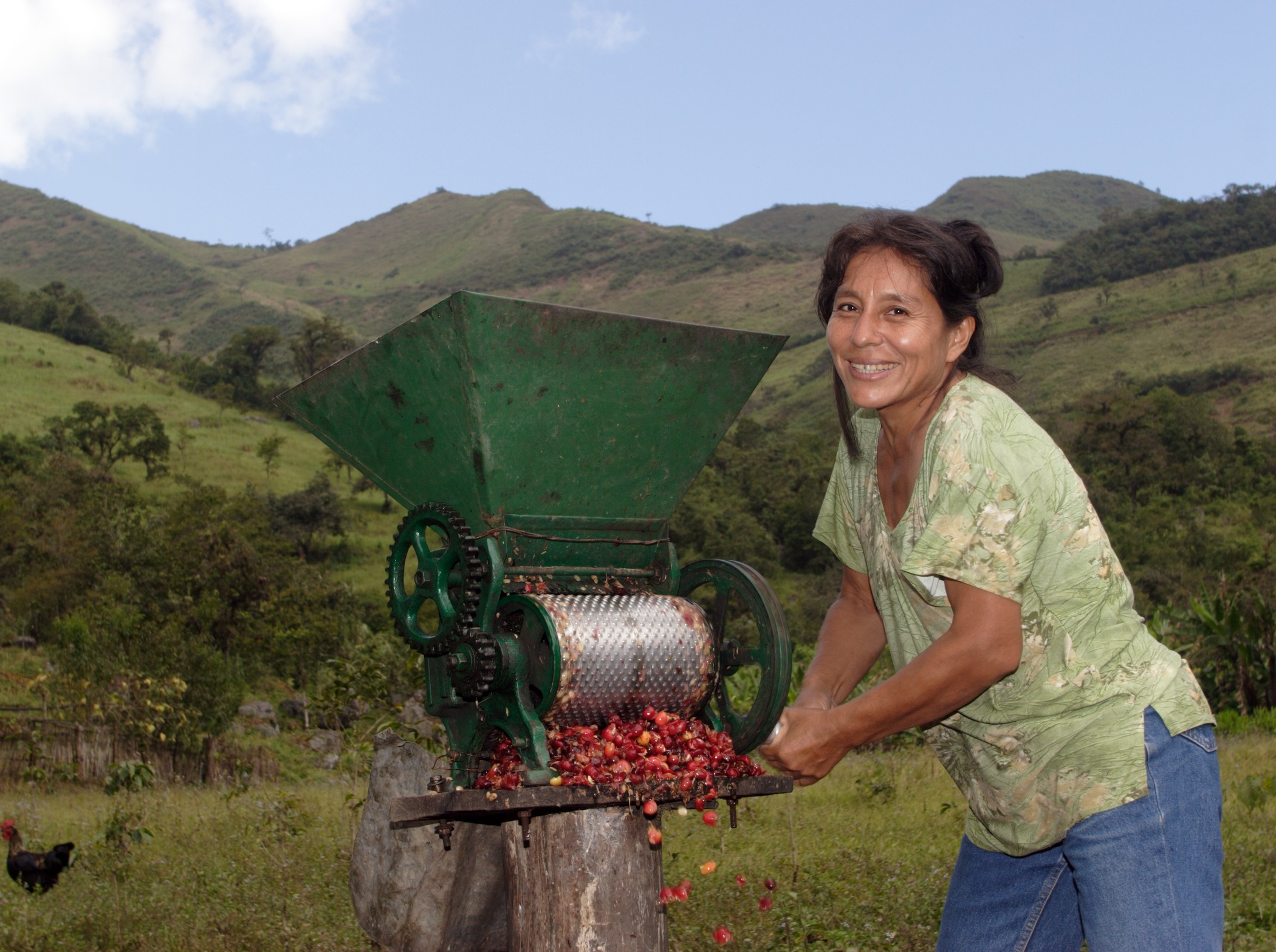 coffee-farmers_2005_olaf-hammelburg-4258_2100x1567_300_rgb