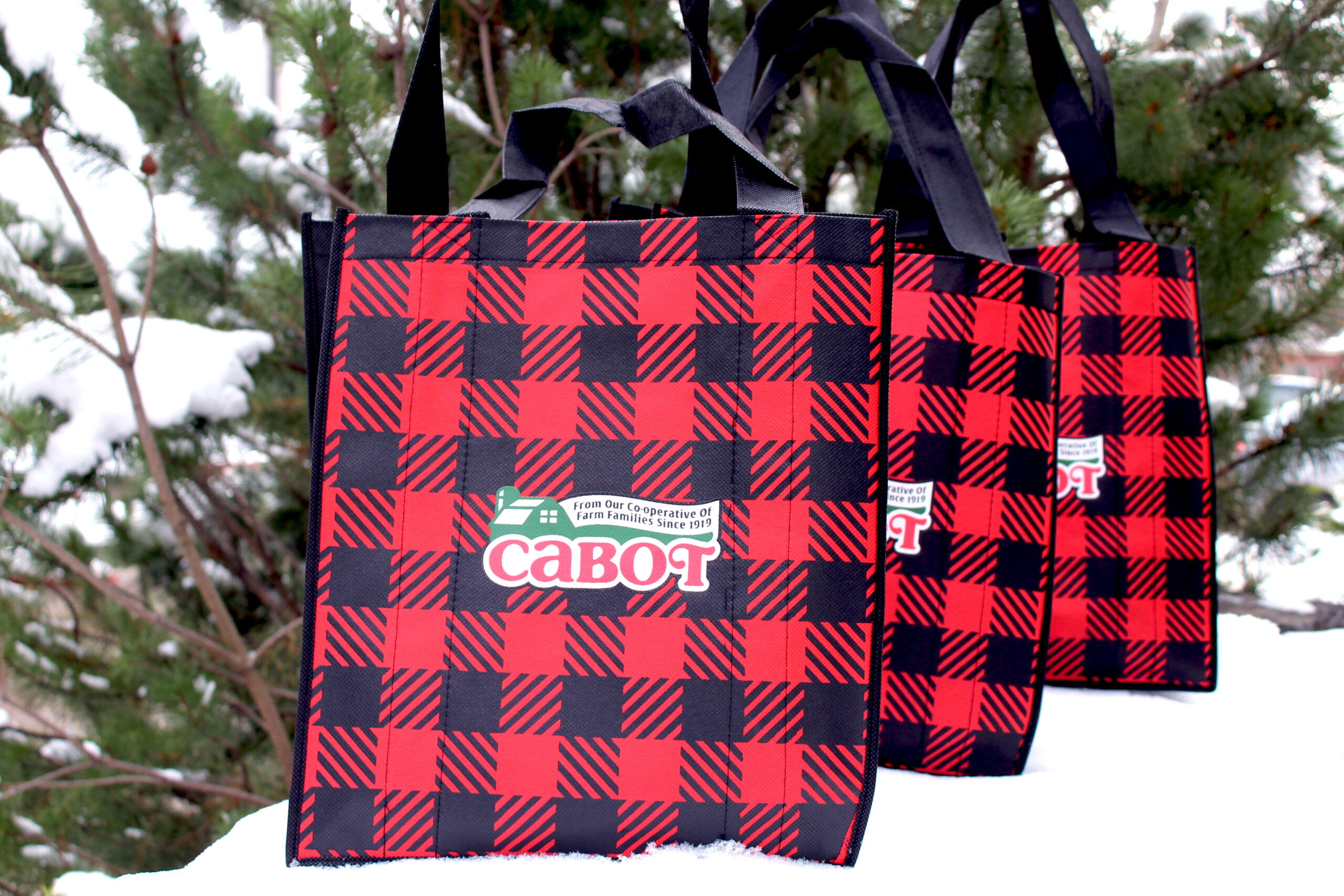 cabot-bags