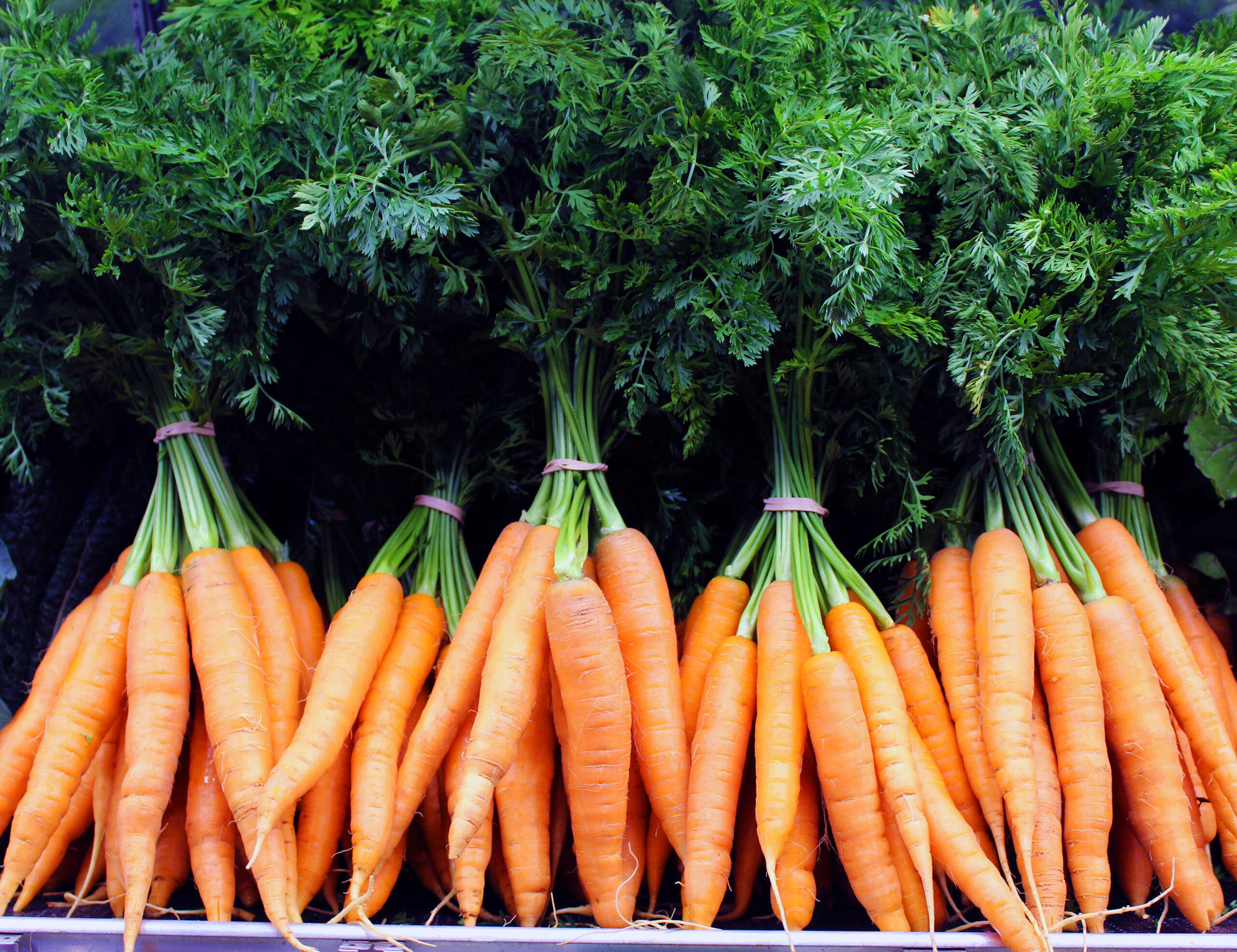 carrots-in-store-7-18-15