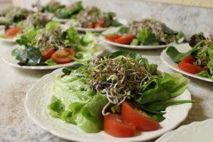 Succulent Salad!