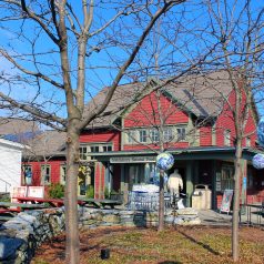 bulk foods Archives - Middlebury Food Co-op