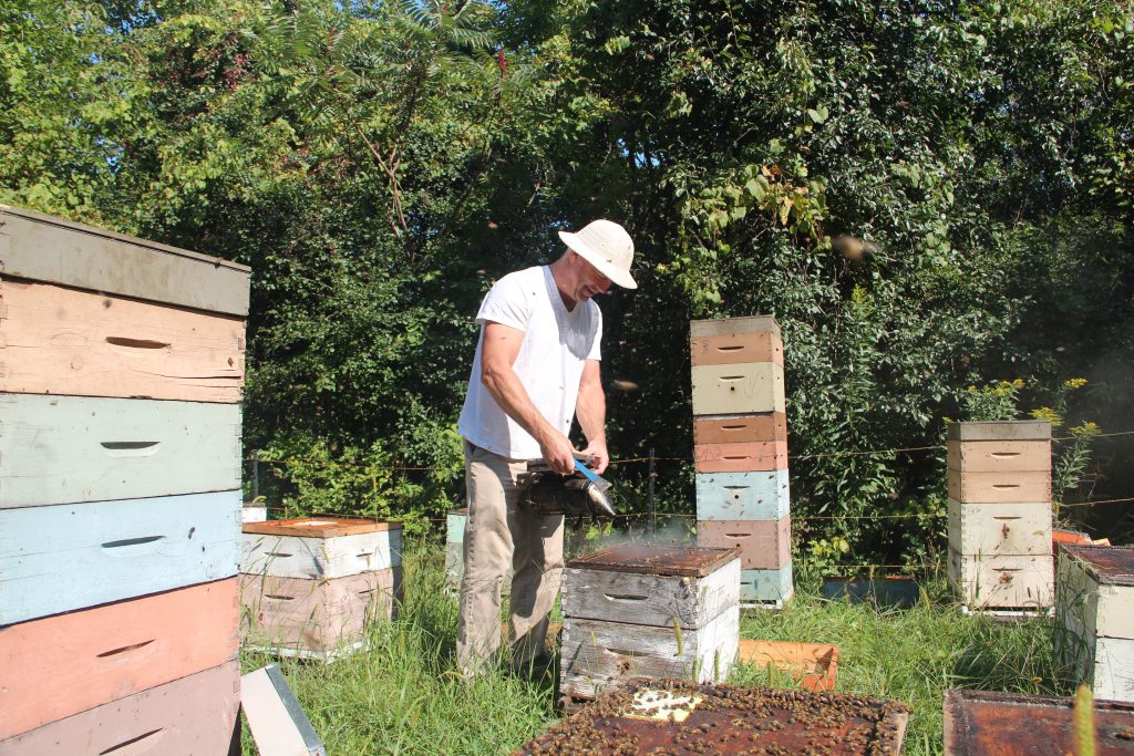 Spotlight on Bee's Wrap - Middlebury Food Co-op