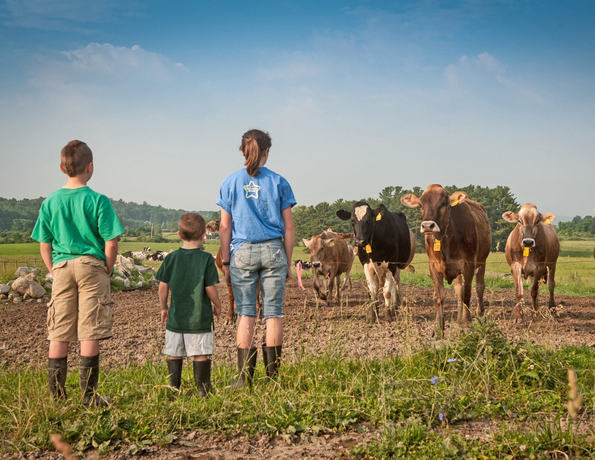 Spotlight on Cabot Creamery Middlebury Food Coop