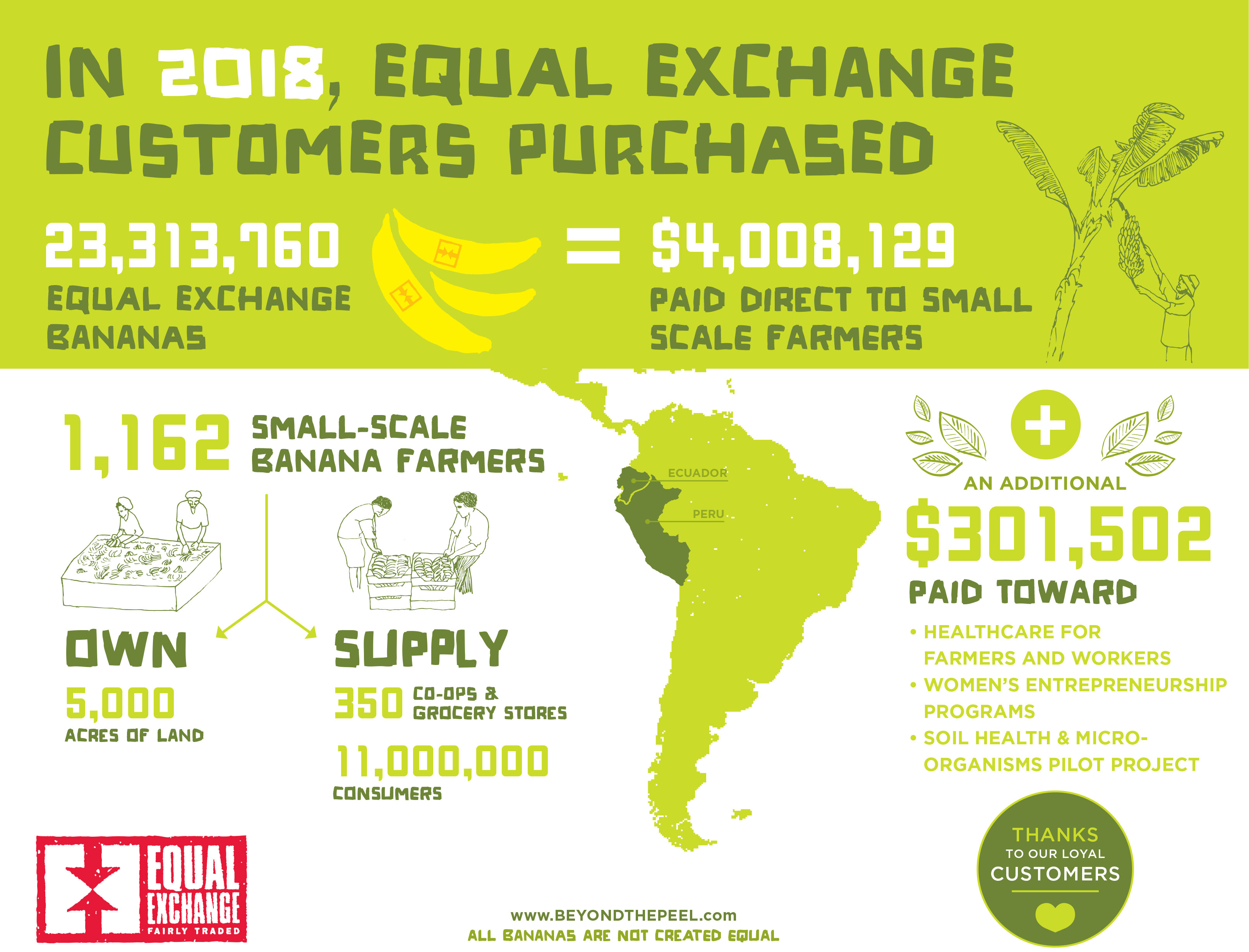 Case of Organic & Fair Trade Bananas (Ecuador), 40 lb, Equal Exchange