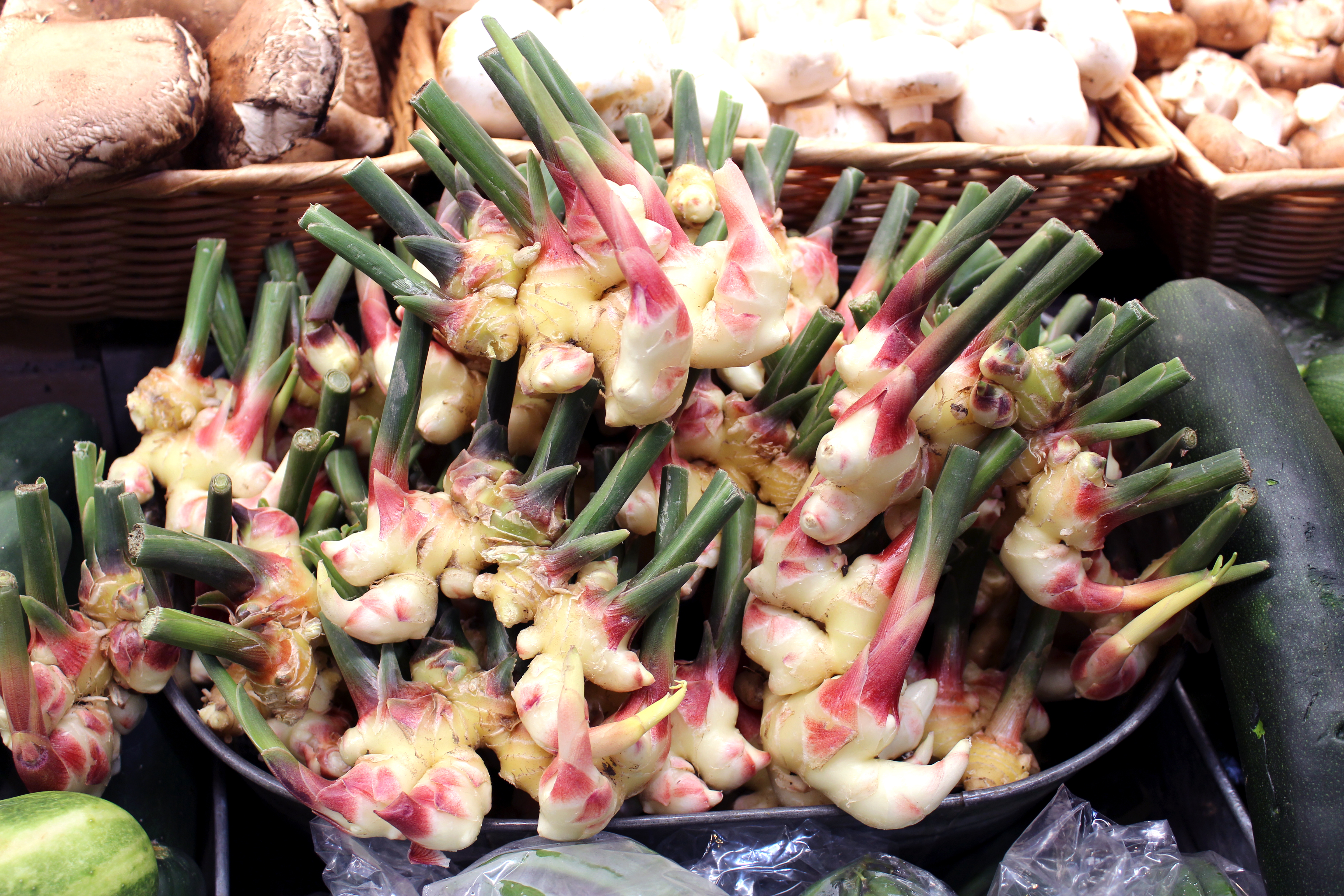 bulk foods Archives - Middlebury Food Co-op