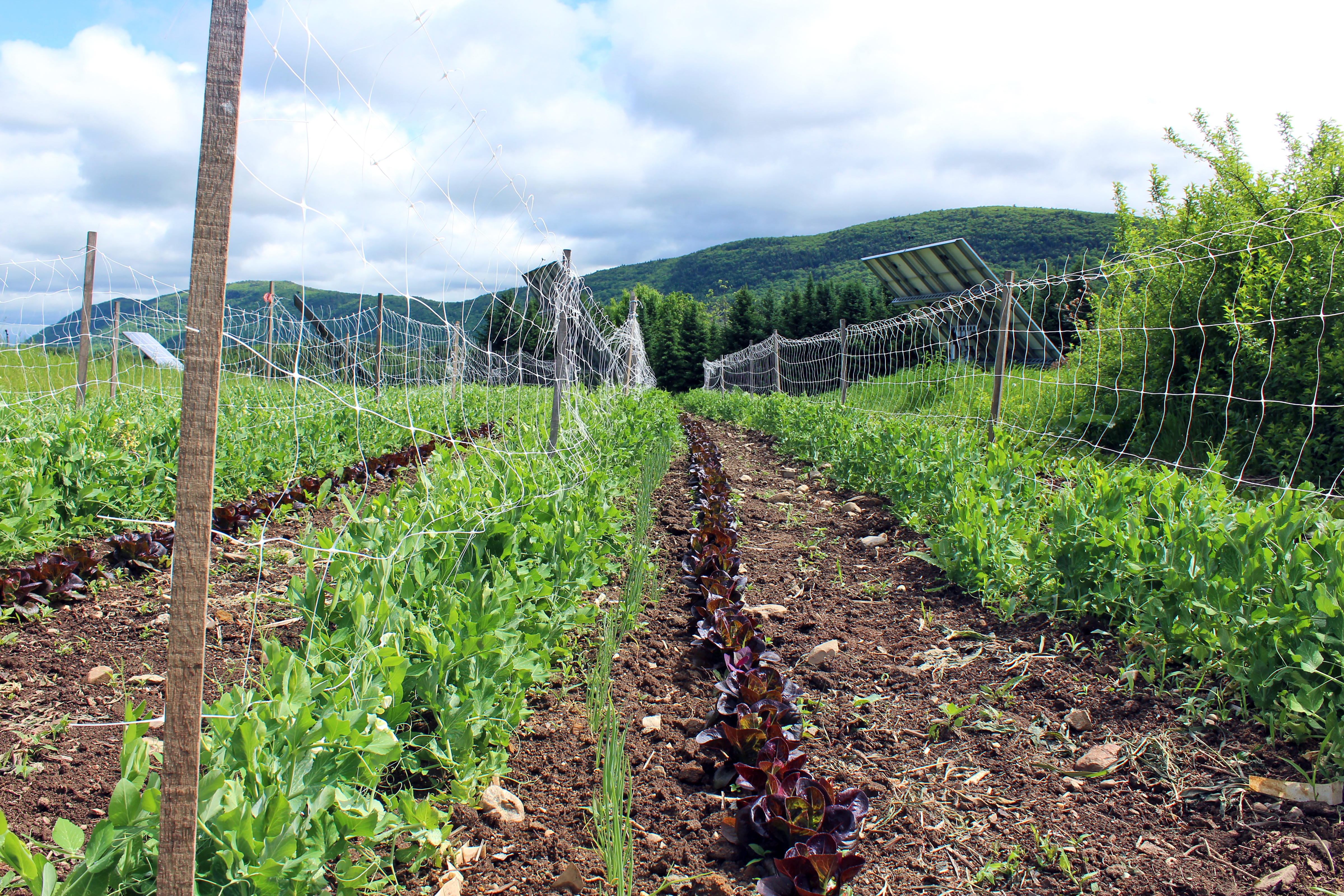 Spotlight on King Arthur Baking Company - Middlebury Food Co-op