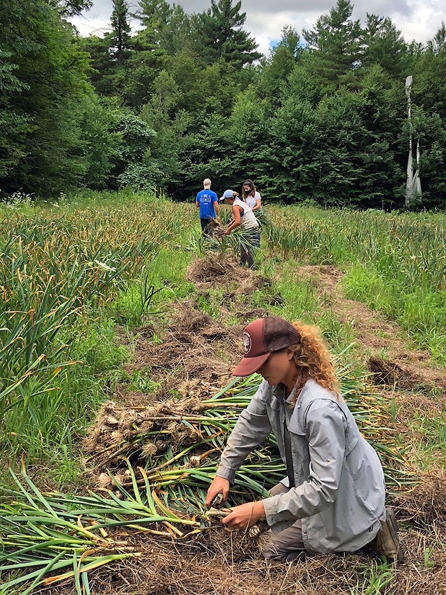 Spotlight on Bee's Wrap - Middlebury Food Co-op