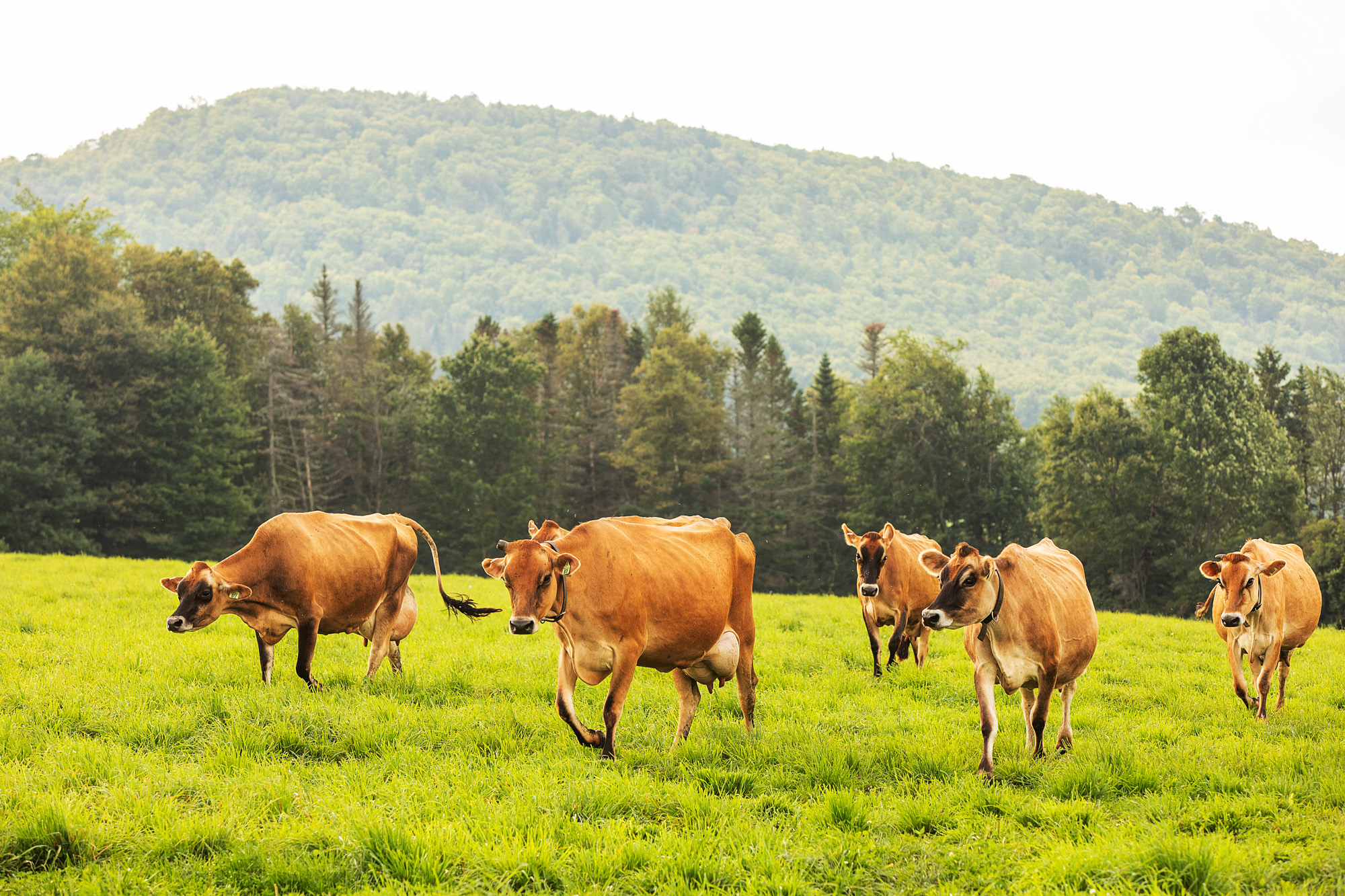 Spotlight on Nordic Naturals - Middlebury Food Co-op