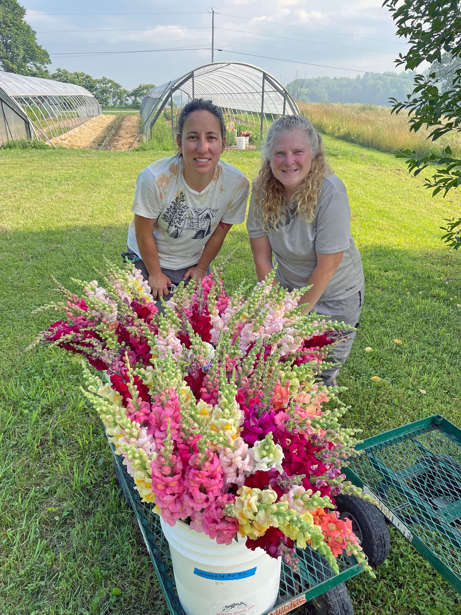 A Rose by Any Other Colour Would Have a Different Meaning! - Salisbury  Greenhouse - Blog