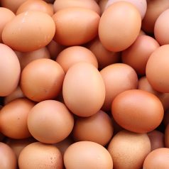 eggs