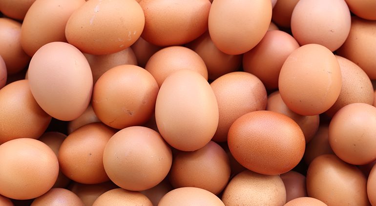 eggs