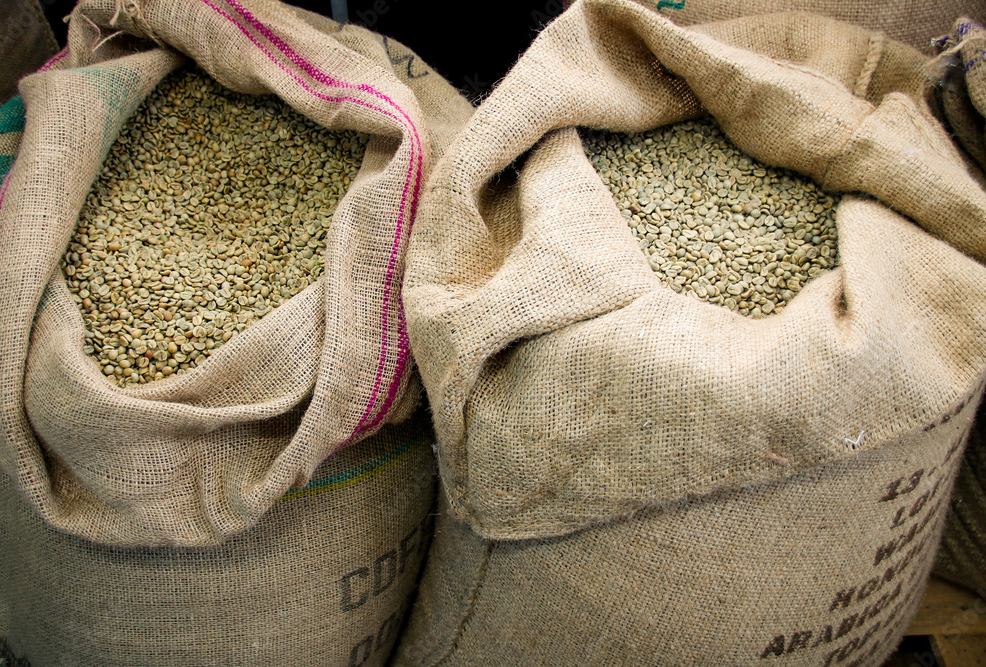bags of green coffee