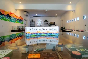 Branded boxes of flora cannabis sitting on a glass counter