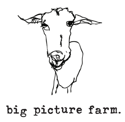Big picture farm logo featuring a goat illustration.